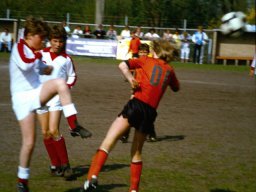 0DIA 1984 RAVA PUPS 1